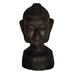 Lord Buddha - TVAMI